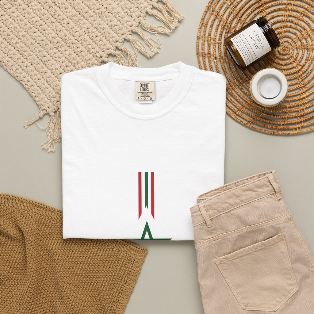 Raya — Morocco Flag World Cup 2026 Atlas Lions Pride T-Shirt